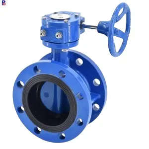 Large Size DN800 PN10 PN16 Ductile Iron Body DI Disc Gear Worm Operated Double Flange Butterfly Valve