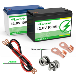 Yüksek Koruma Sağlayan Katı Hal 24V 25.6V 100Ah 200AH 300Ah LiFePO4 Güneş Enerjisi Batarya Paketi Ev ve Karavan Golf Arabası Kullanımı İçin - Product Image 5