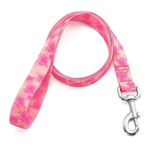 You Logo New Brand <b>Top</b> Quality with <b>Low</b> Price Nylon Polyester Dog Leash - Product Image 6