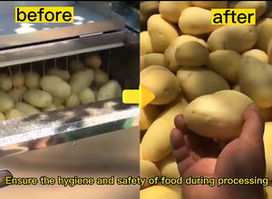 Máquina Peladora de Patatas y Zanahorias de 12 kg/hora, Lavadora de Patatas, Peladora de Yuca, Máquina de Limpieza de Frutas y Verduras - Product Image 5