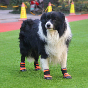 Bottes d'extérieur antidérapantes pour chiens, chaussures imperméables pour chiens de taille moyenne à grande, nouvelle collection - Product Image 5