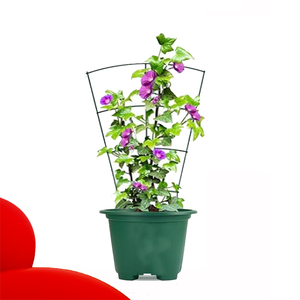 Jardinière peu encombrante avec treillis intégré pour plantes grimpantes, ensemble de jardinage pour balcon prêt pour la vente en ligne - Product Image 3