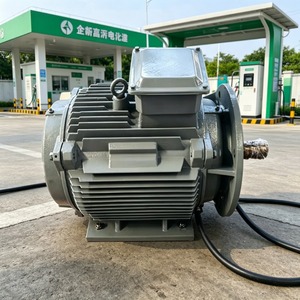 Générateur synchrone à aimant permanent silencieux vertical 3 kW IP68 à enroulement 100 % cuivre pour hydroélectricité et éolienne, haute efficacité - Product Image 1