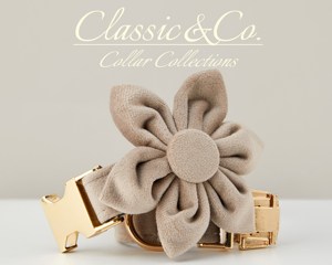 Grey Veet Cá nhân hóa con chó cổ áo dây xích thiết lập với hoa & BOW TIE cho Nam Nữ PET, vàng khắc tên tag, Wedding Puppy Quà Tặng - Product Image 3