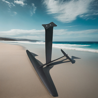 Nouveau design unisexe CY-1401 fibre de carbone kitesurf hydroptère SUP hydroptère pour débutants sac à prix d'usine eaux océaniques