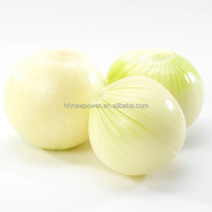 Double Belt Onion Root Cutting and Peeling Machine Production <b>Line</b> Onion <b>Processing</b> Machine <b>Line</b> Onion Peeling Machine <b>Line</b> - Product Image 4