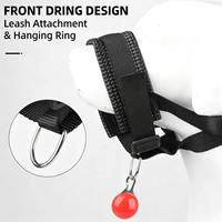 Masque pour chien réglable et durable, anti-morsure, anti-aboiement, en éponge souple, sangle en nylon, boucle à dégagement rapide, respirant, accessoire de sécurité