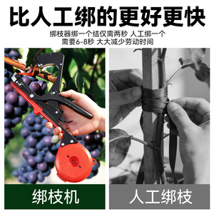 Máquina atadora de tomate y uva con cinta engrosada, herramienta universal de enredado para huertos agrícolas de gran apertura, de acero inoxidable rojo - Product Image 5