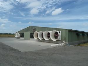 Gia cầm nhà ở Kết Cấu Thép tòa nhà cho chăn nuôi gia cầm - Product Image 3