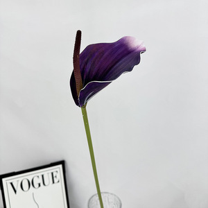 Vente en gros <span class=keywords><strong>de</strong></span> fleurs artificielles en PU <span class=keywords><strong>de</strong></span> 10 cm à tige unique, Anthurium en vrac pour la décoration <span class=keywords><strong>de</strong></span> mariage, <span class=keywords><strong>de</strong></span> la maison et des fêtes - Product Image 6