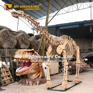 MON Dino-Plus Grand dinosaure fabricant de qualité musée fossile de dinosaure à vendre