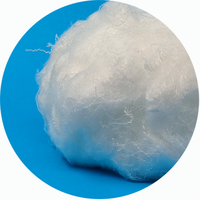 3DX76mm Good Quality Nylon 66 Fiber Price Low