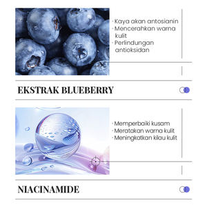 Sérum Visage Éclaircissant et Unifiant le Teint KORMESIC Certifié Bpom, 20ml, Raffermissant et Nourrissant, au Complexe de Myrtille, Vente en Gros - Product Image 4