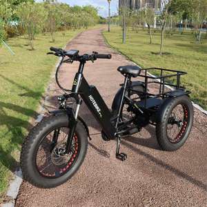 Tricycle à 3 roues ET250 à succès avec siège passager, vélo tricycle 20 pouces avec panneaux solaires - Product Image 1