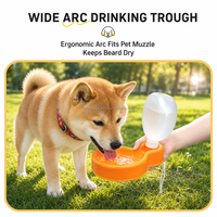 Bouteille d'eau pliable en forme de ballon pour animaux de compagnie, distributeur d'eau de voyage pour chats et chiens