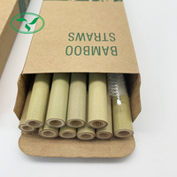 Pailles à boire biodégradables en bambou avec boîte en Kraft, 10 pièces
