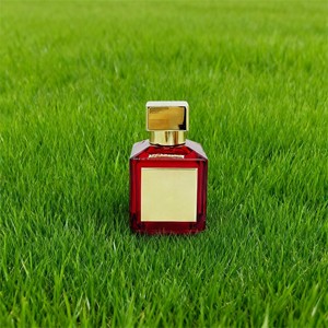 Nhà Thiết Kế Ban Đầu Cho Baccarat Rouge Parfum 540 Lâu Dài Nước Hoa Hương Thơm Cho Nam Giới Và Phụ Nữ Với Oud Bán Số Lượng Lớn Nước Hoa - Product Image 5