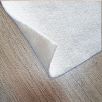 Terrassement Produit 100% polypropylène D'agrafe PP Géotextile non tissé aiguilleté à Fibers