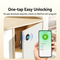 Serrure de meuble intelligente biométrique à empreinte digitale, verrou électronique sans clé pour tiroir de bureau, casier de fichiers, quincaillerie de mobilier domestique