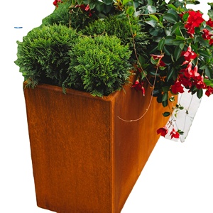 Jardinière en acier <span class=keywords><strong>corten</strong></span> plantes en acier <span class=keywords><strong>corten</strong></span> pot plateau - Product Image 1