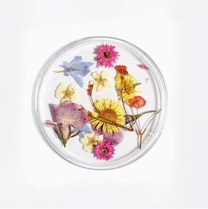 <span class=keywords><strong>Flores</strong></span> <span class=keywords><strong>secas</strong></span> prensadas Nail Art, decoración 3D de <span class=keywords><strong>flores</strong></span> <span class=keywords><strong>secas</strong></span> reales para <span class=keywords><strong>uñas</strong></span> <span class=keywords><strong>acrílicas</strong></span> en Gel UV - Product Image 5