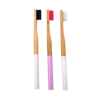 Brosse à dents en bambou écologique charbon de bois biodégradable non toxique peinture couleur manche rond brosse à dents pour adulte