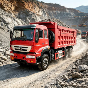Camión Volquete Sinotruk HOWO 6x4 de 30 Toneladas, Diésel, de Servicio Pesado, con Larga Vida Útil para Minería, Bajo Costo de Mantenimiento - Product Image 1