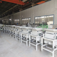 Casse-noix industriel, écaleur d'amandes, machine à décortiquer les noix de palmier et les noisettes
