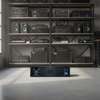 Module d'amplificateur de puissance professionnel 2 canaux HPL3.0-A, carte d'amplification audio haute efficacité pour scène et performances KTV
