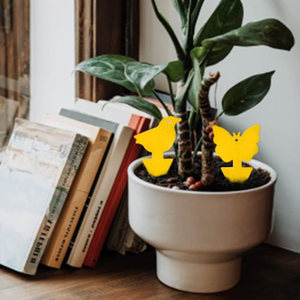 ตัวดักจับแมลงสีเหลืองสำหรับบ้านกลางแจ้งกับดักแมลงวันเหนียวสำหรับแขวน - Product Image 5