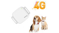 GPS 4g longue veille Minimum mini 4G localisateur d'animaux gps tracker fabrication