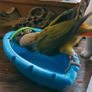 Оптовая продажа портативная пластиковая птица ванна птица Душ Ванна с зеркалом игрушки птица ванна