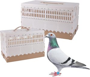 Gabbia da Viaggio Pieghevole in Plastica per Uccelli, Facile da Pulire, <span class=keywords><strong>Box</strong></span> per Addestramento e Rilascio Piccioni 43x28x24cm per 6-8 Piccioni, Marca YZ - Product Image 1