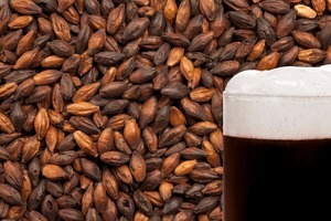 Attrezzatura per la Torrefazione di Malto di Mais, Malto Caramellato per Impianti di Malzatura - Product Image 2