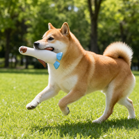 Jouet couineur en latex pour chien, forme d'autruche avec pattes bleues, jouet à mâcher pour le nettoyage des dents pour chiens de petite et moyenne taille