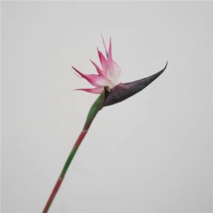 Nhân Tạo Tropicals Hoa Trang Trí Nội Thất Mềm PVC Nhân Tạo Bất Cảm Ứng Chim Thiên Đường Nhà Máy Hoa - Product Image 4