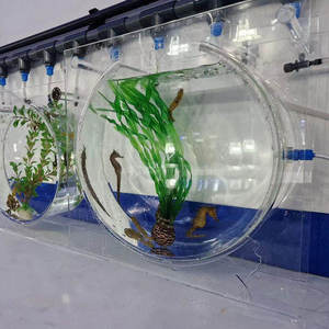 Aquarium en résine carré et cylindrique de décoration intérieure inoubliable avec pompes à eau et éclairages Aquariums et accessoires emballés dans une boîte - Product Image 2