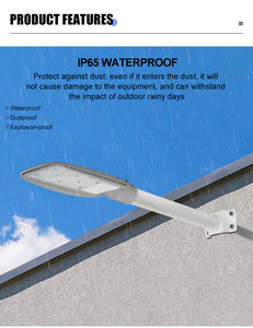 Precio de fábrica 50W-200W Exterior Impermeable IP65 Lámpara de calle de aluminio fundido a presión Fuente de alimentación de CA Garden Street - Product Image 5