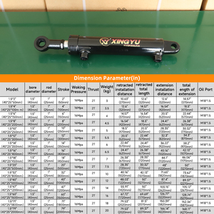 Silinder <span class=keywords><strong>Piston</strong></span> Hidrolik XingYu Pengiriman 3 Hari, Ukuran Kecil 2 Ton, 40mm, Aksi Ganda, Lapisan Krom Keras, Baja Karbon, Langkah Kustom - Product Image 4