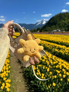 Juguetes de Peluche Suaves de Excelente Calidad Británica, Personalizados, para <span class=keywords><strong>el</strong></span> Día de San Valentín, con Gato de Peluche Jelly Cat Sun - Product Image 2