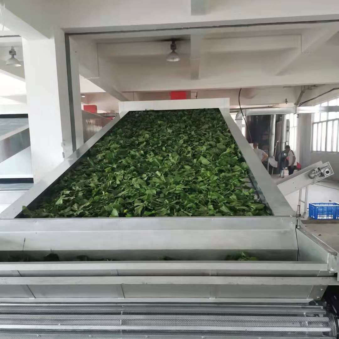 Olijf Clover Hennep Blad Mesh Riem Droger Alfalfa Hey Industriële Continue Riem Drogen Apparatuur Veevoeder Gras Droogmachine