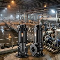 Pompe centrifuge submersible pour eaux usées, corps en acier inoxydable anti-corrosion avec dispositif d'accouplement automatique pour le drainage des mines et des tunnels
