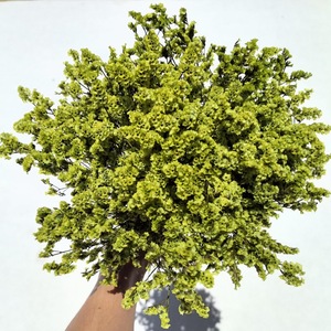 <span class=keywords><strong>Fleur</strong></span> éternelle Saint Valentin cadeau <span class=keywords><strong>de</strong></span> fête des mères <span class=keywords><strong>fleur</strong></span> éternelle pleine d'étoiles mariage décoration <span class=keywords><strong>de</strong></span> la maison fleurs séchées - Product Image 2