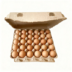 Bán Buôn 30-Lỗ Trứng Carton Tùy Chỉnh Tấm Bảng Lưu Trữ Khay Giấy Với Nắp Chống Thấm Nước Tốt Nhất Trứng Container - Product Image 1