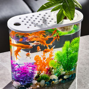 Petit aquarium pour poissons rouges, aquarium de bureau écologique, panier à plantes en PVC, décoration de bureau rectangulaire en acrylique pour le salon - Product Image 3