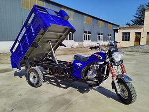 Moto cargo à <span class=keywords><strong>essence</strong></span> 200cc la plus vendue, la mieux notée, de haute qualité, chargement facile, franchissement de collines sans effort et puissance exceptionnelle - Product Image 6