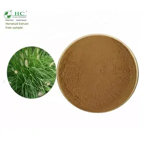 5:1,20:1, 7% Silica Supply Natural Ekstrak Rumput Ekor Kuda Bubuk Ekstrak Ekor Kuda 4:1Equisetum Arvense Extract