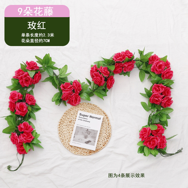 Vigne rose à neuf têtes [rose rouge]