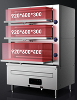 Shenchu SC-HXZG Laag-onafhankelijke gasgestookte stoomkast voor hotels, restaurants, kantines, met constante temperatuur en vershoudfunctie