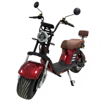 Vélo électrique Harley à moteur haute efficacité 1000W, frein à disque avant et arrière, pneu à vide, vélo électrique pour adultes